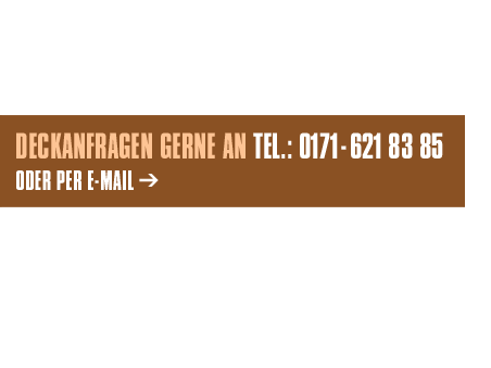 Schreiber Doggen Deckanfragen
